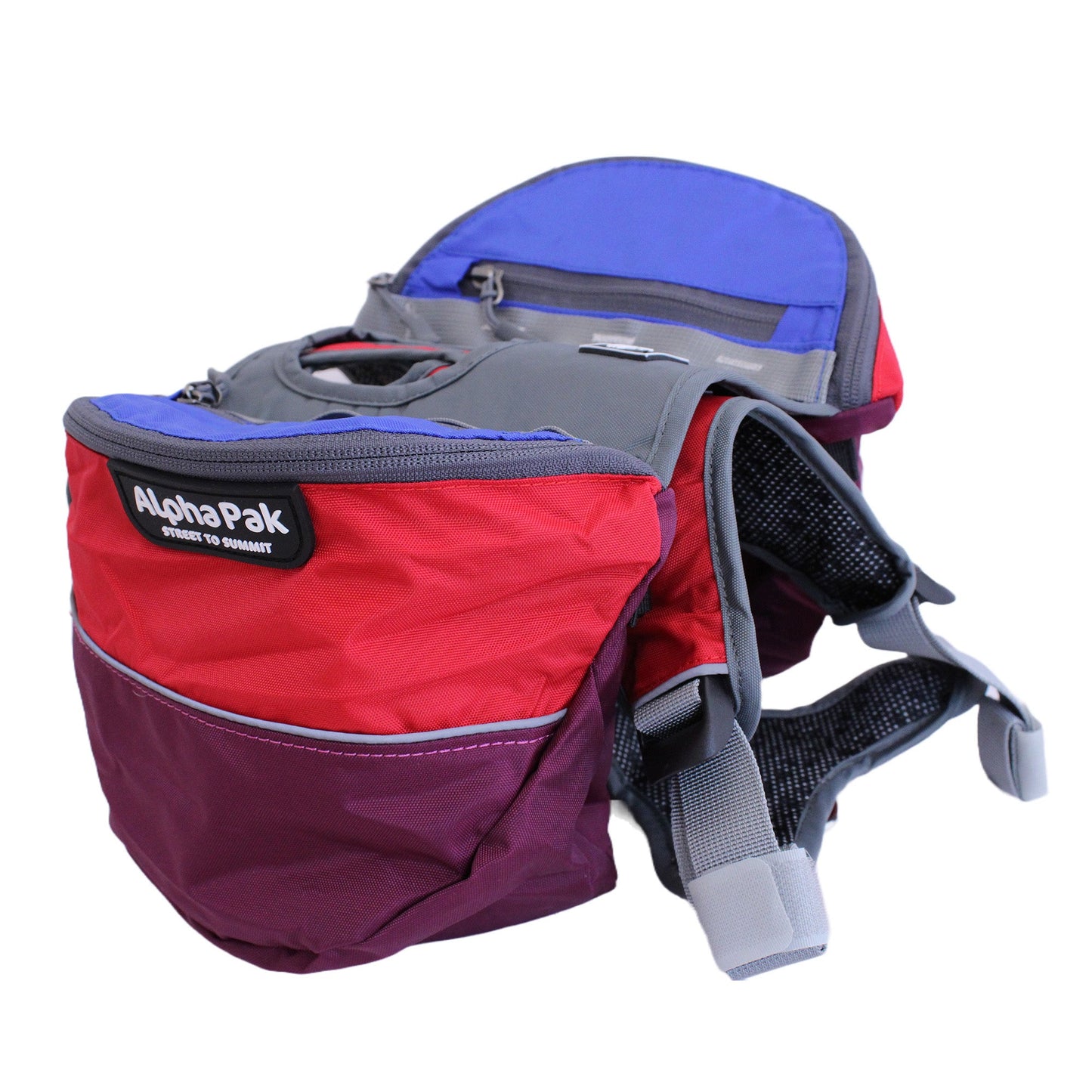 Adventurer 2-piece Dog Pack With EZ Latch™ Harness - SUNSET