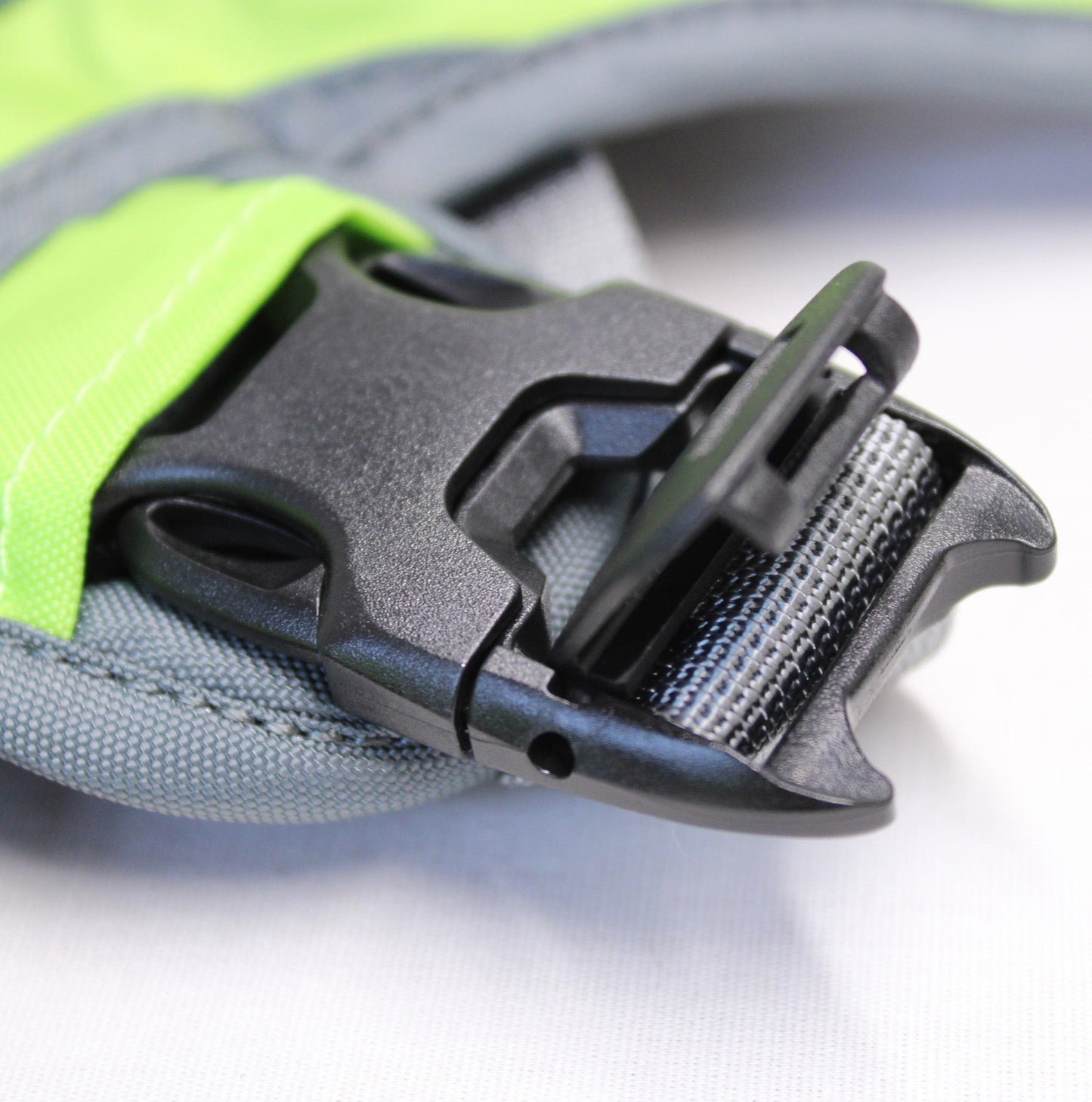 Adventurer 2-piece Dog Pack With EZ Latch™ Harness - RAIN FOREST Locking Buckle