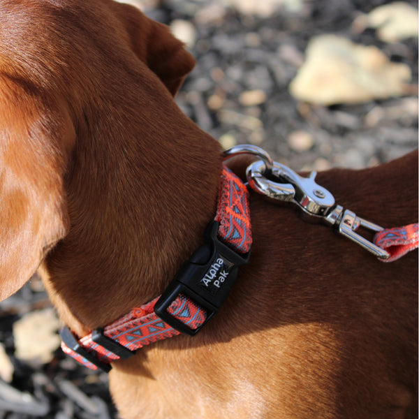 Natchez Pattern Dog Collar