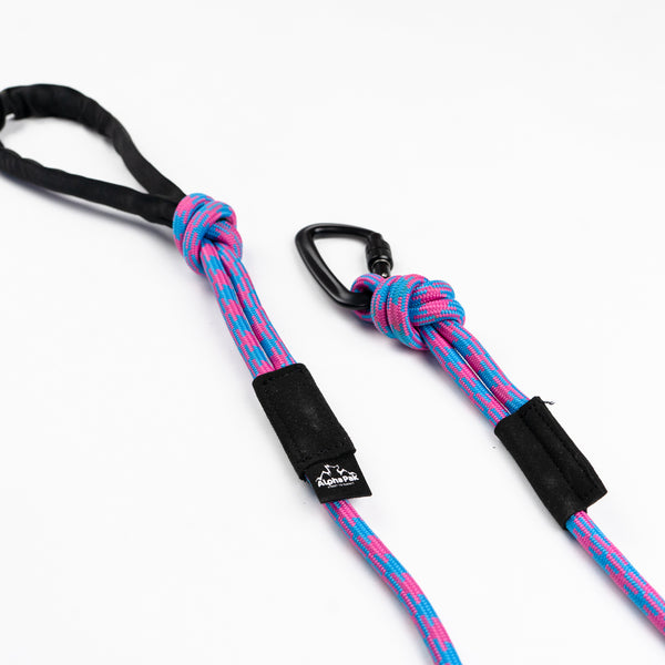 Elements Purple 10MM Kernmantle Rope Dog Leash