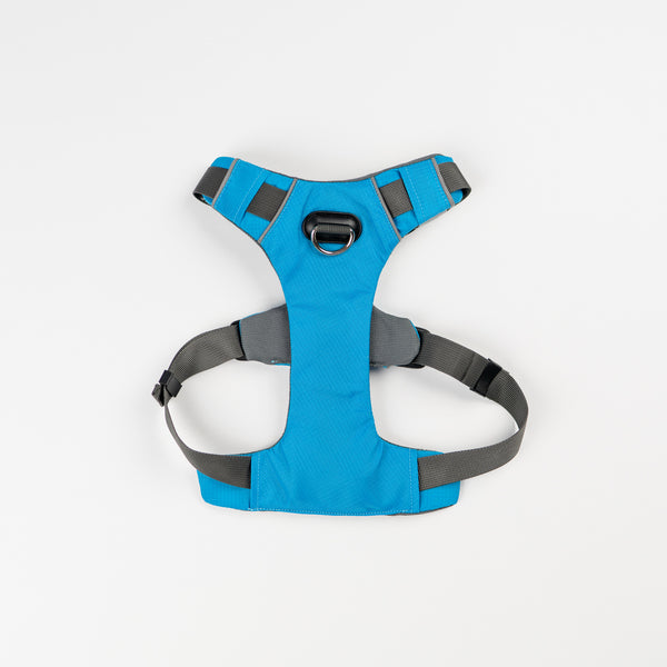 Millvue Ocean Blue EZ Fit Dog Harness