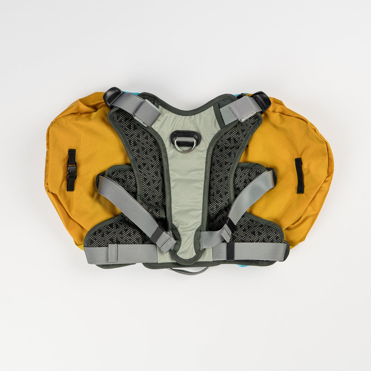 Adventurer EZ Latch and Dog Pack with EZ Fit Harness