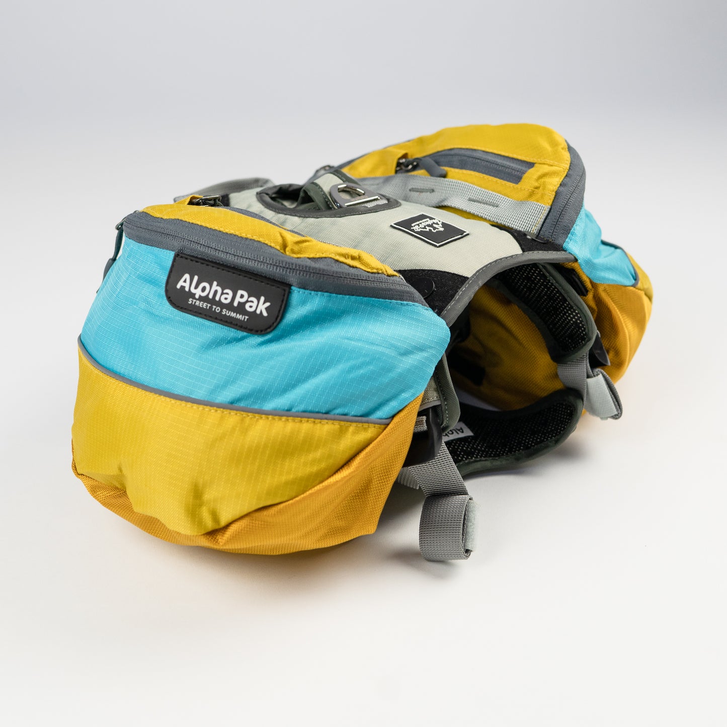 Blue and Yellow Adventurer EZ Latch
