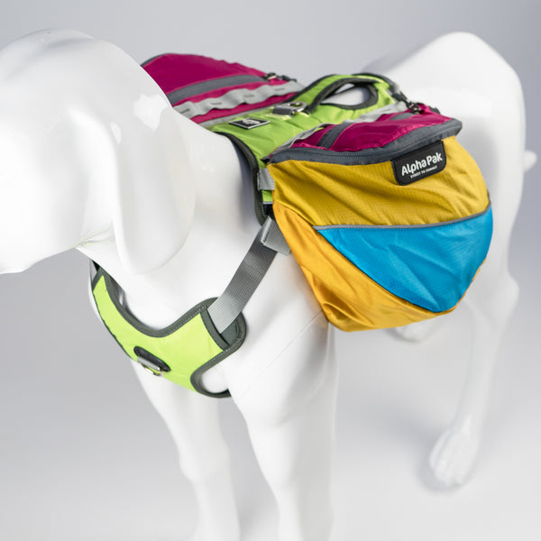 Wanderer Blue Pink Yellow and Gray Dog Pack with Harness