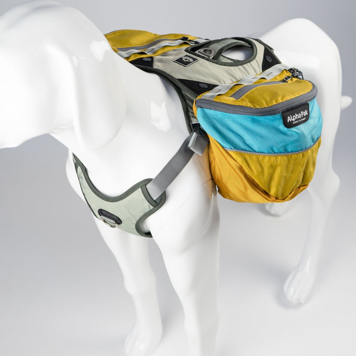Adventurer EZ Latch and Dog Pack with EZ Fit Harness