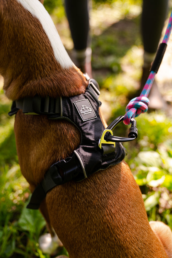 Millvue Black EZ Fit ™ Dog Harness