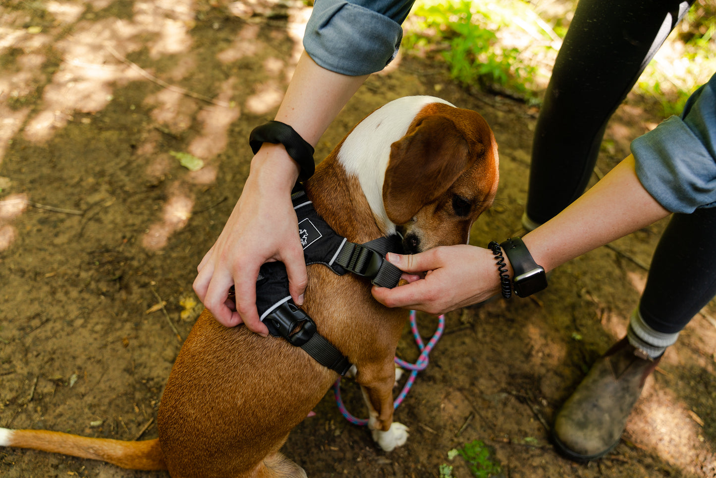 Millvue ブラック EZ Fit ™ 犬用ハーネス - 卸売