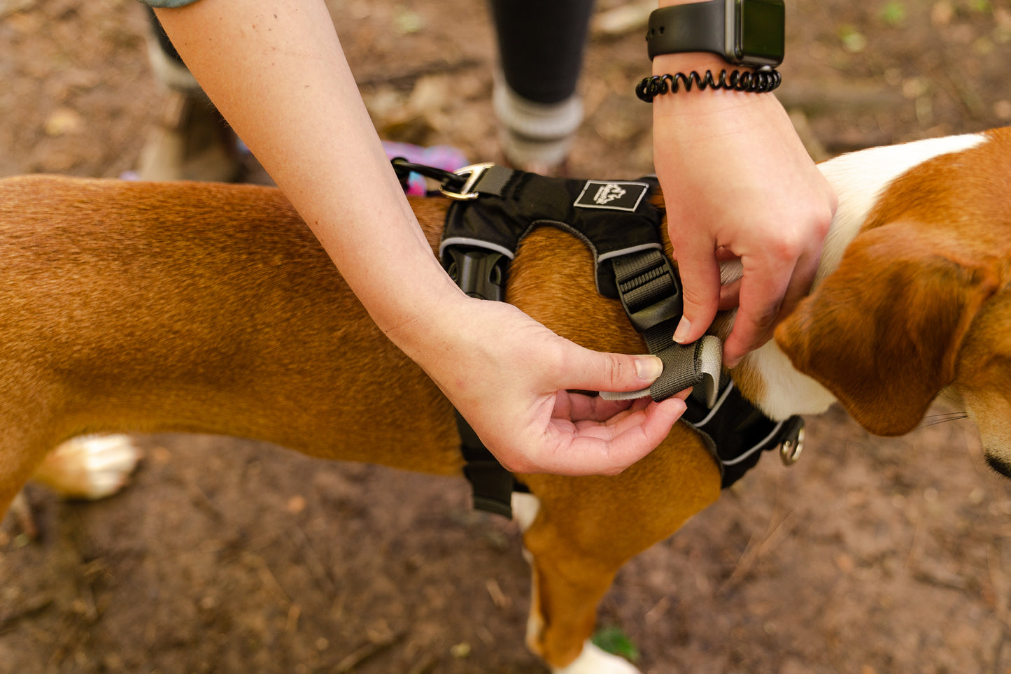 Millvue ブラック EZ Fit ™ 犬用ハーネス - 卸売