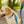 Cascades Metallic Blue Stretchable Runner Dog Leash