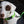 alphapak campingwithdogs green leash dog leash dog lead reflector light green kiwi green soft handle padded handle walking dog leash