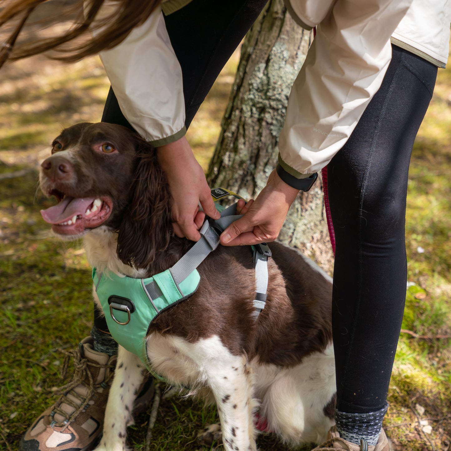 Millvue Riptide EZ Fit™ Dog Harness Vlecro Girl