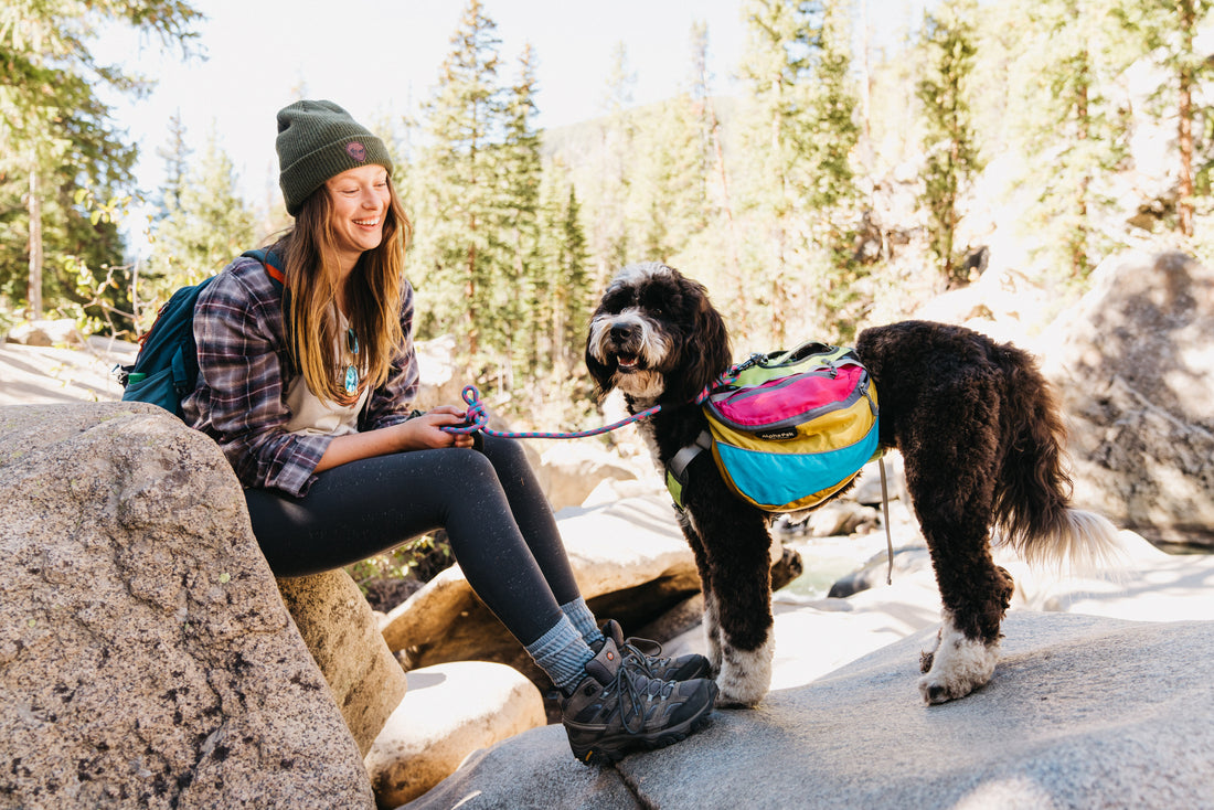 How to Use a Dog Backpack