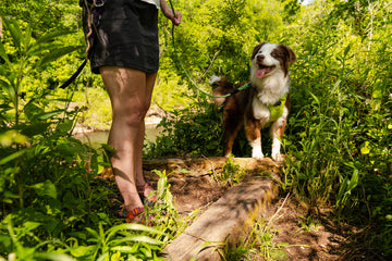 Tips For Summer Hikes