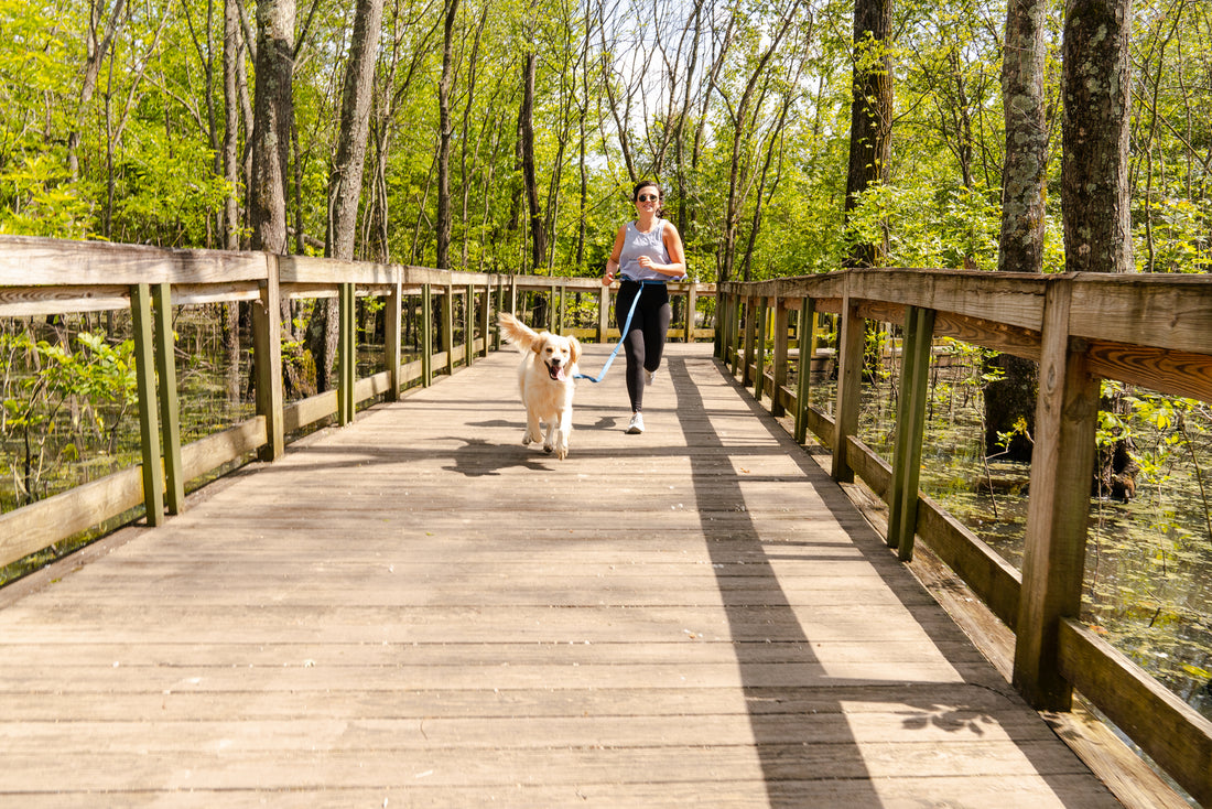 Trail Running with Your Dog 101