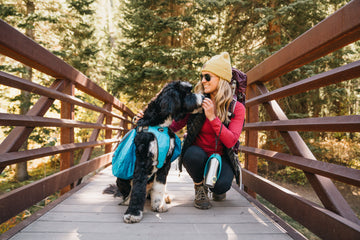 Dog Backpacks: How to Find the Perfect Fit and Training Tips