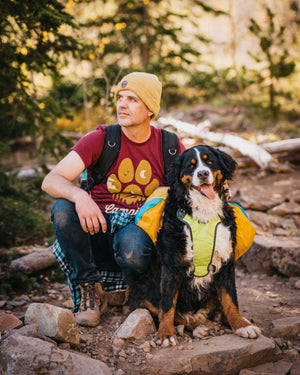 Essentials for Camping With a Dog This Fall