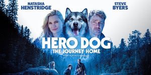 Alpha Pak Partners with Hero Dog: The Journey Home by Lionsgate