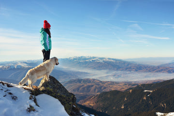 dog and human on mountains