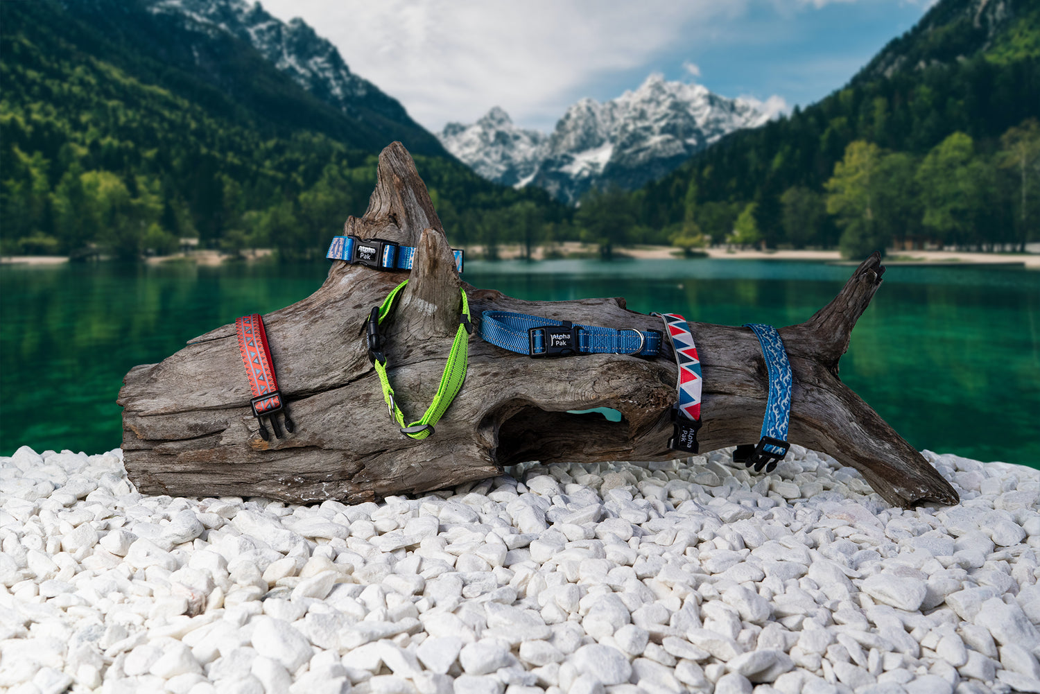 COLLARS