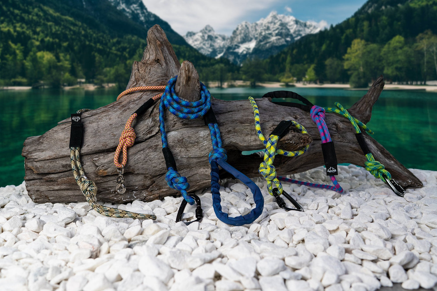 Assorted colors dog rope leashes