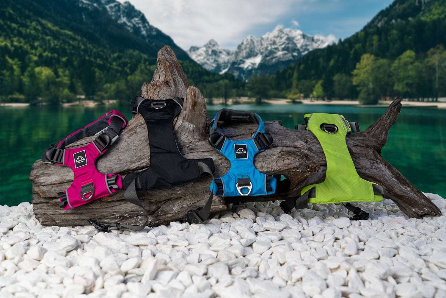 Colorful dog harnesses near lake