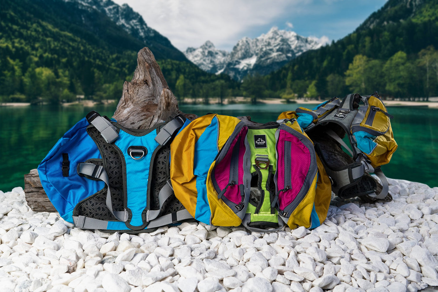 dog backpack and harness with latch