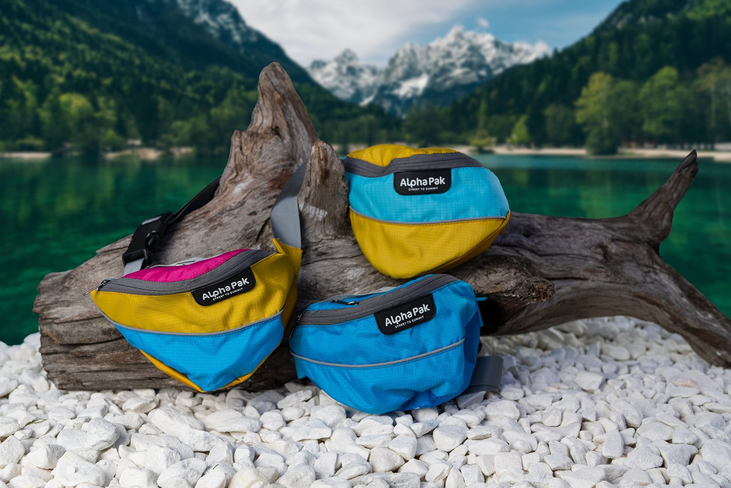 dog camping gear and backpacks
