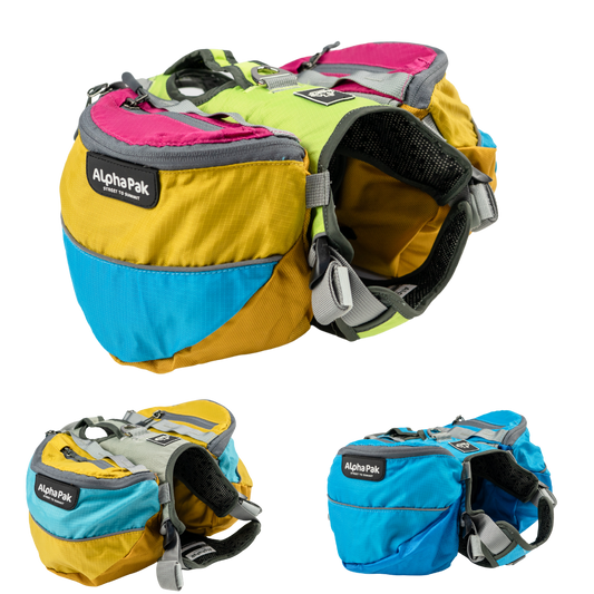 Adventure 1-Piece Dog Pack