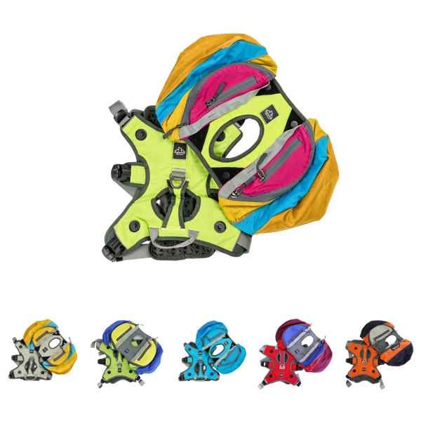 ゼイビア・アイザック ゼイビア・アイザック - Wikipedia