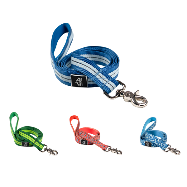 Flat Dog Leash | Appalachian Jazz Blue | Alpha Pak