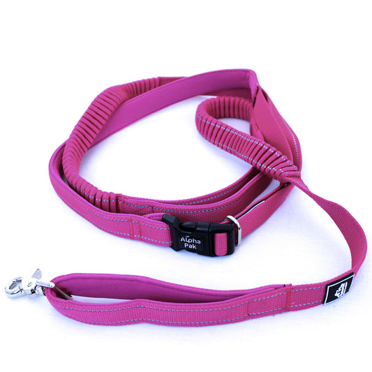 Cascades Plum Boysenberry Stretchable Runner Dog Leash