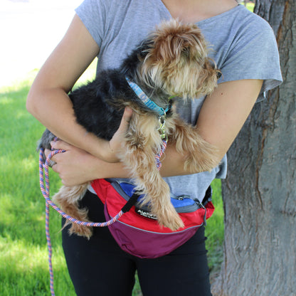 Sunset Hip Pack with model and dog