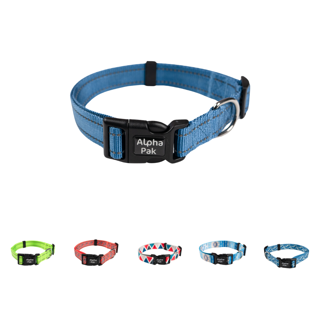 Everyday Adventure Dog Collar