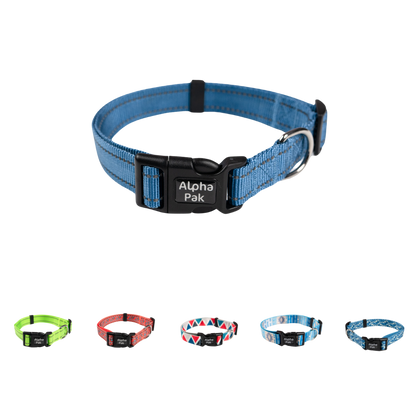 Everyday Adventure Dog Collar