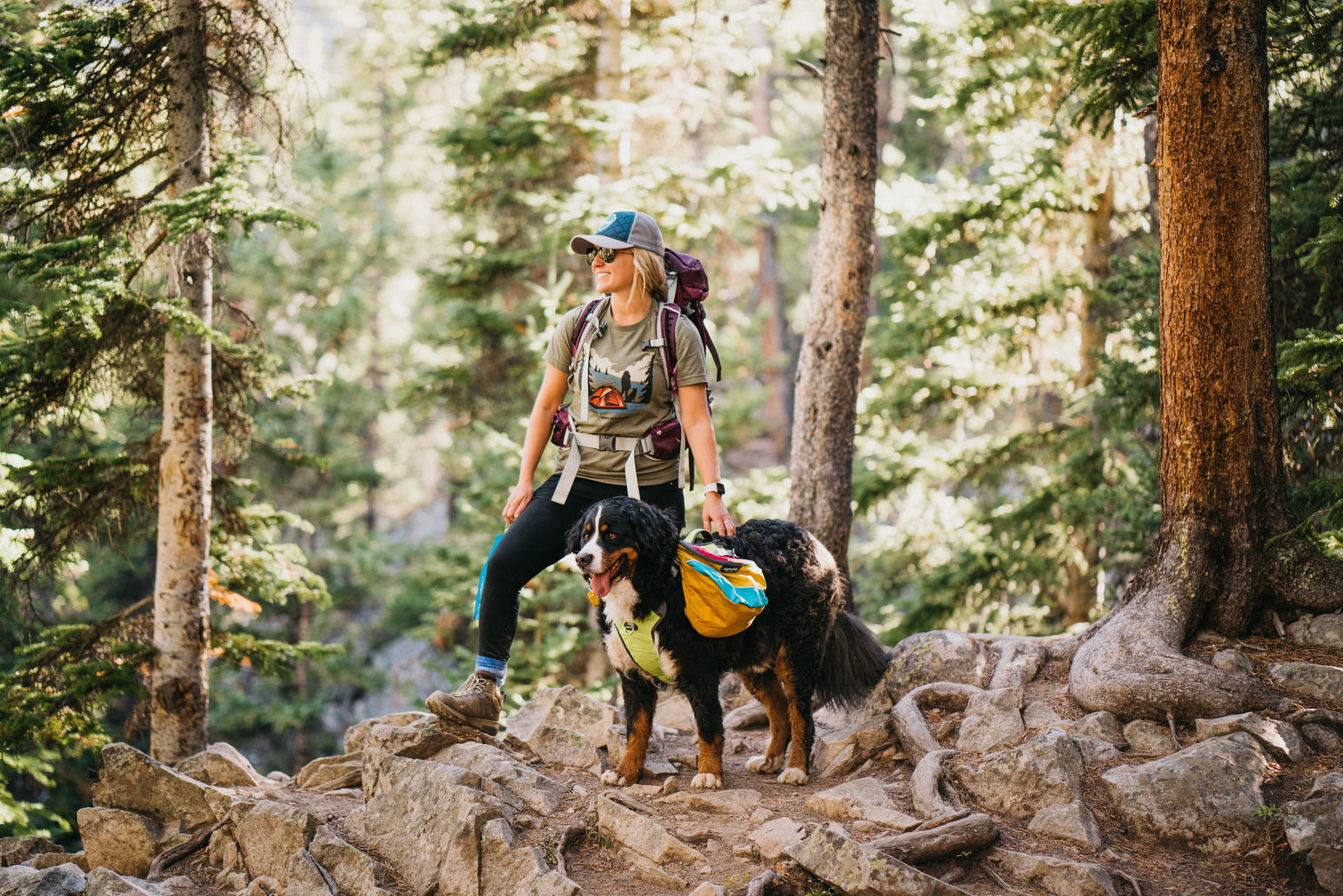 Alpha Pak Top Quality Dog Gear Outdoor Adventures