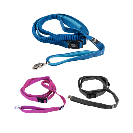 Everyday Runner Stretchable Dog Leash