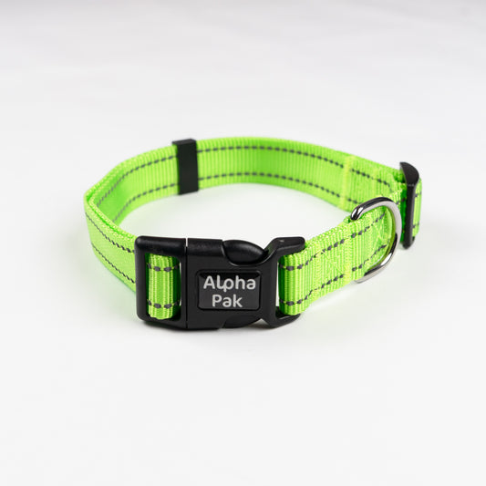Appalachian Kiwi Green Dog Collar