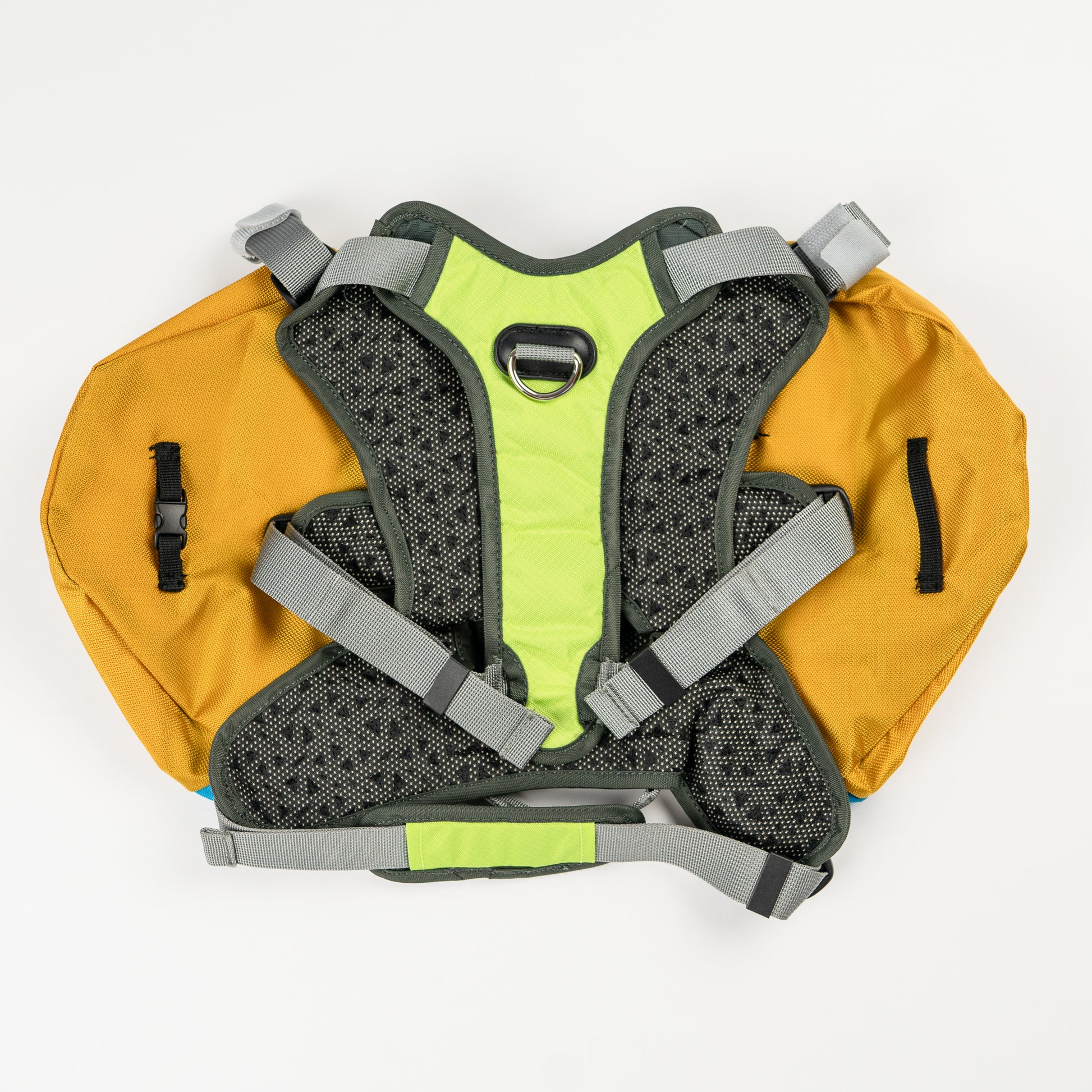 Blue Yellow Pink and Gray Wanderer EZ Latch Dog Pack with Harness