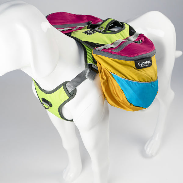 Blue Yellow Pink and Gray Wanderer EZ Latch Dog Pack with Harness