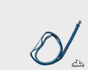 Cascades Metallic Blue Stretchable Runner Dog Leash