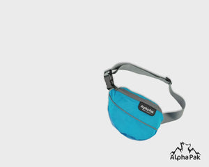 Pathfinder Hip Fanny Pack Blue and Gray