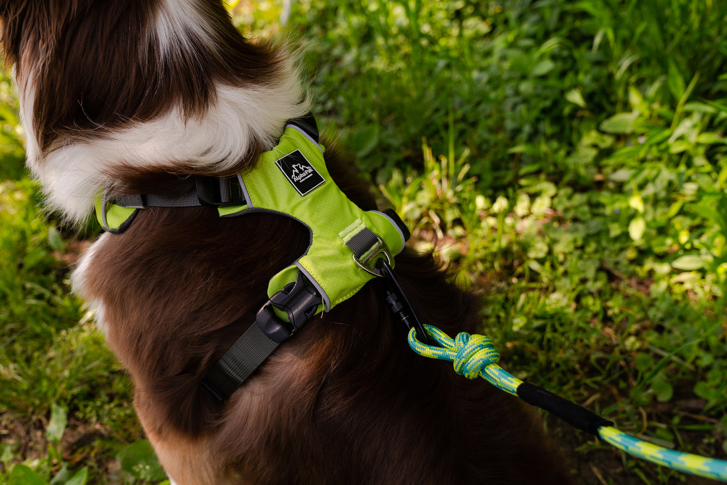 Millvue Kiwi Green EZ Fit™ 犬用ハーネス - 卸売