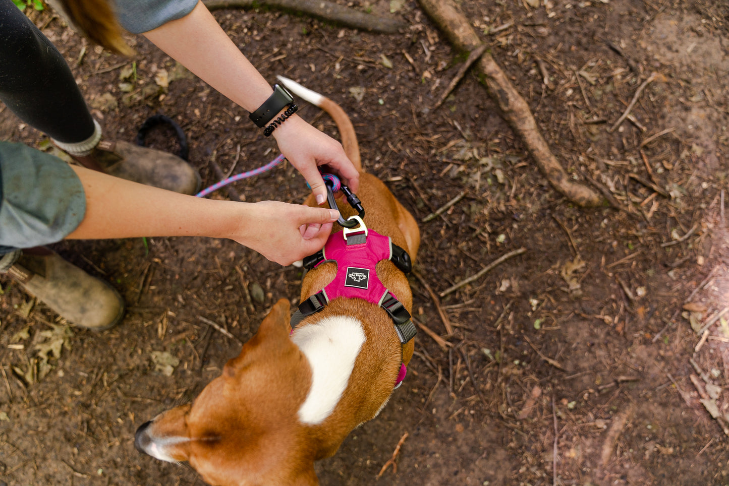 Millvue Raspberry Pink EZ Fit™ Dog Harness