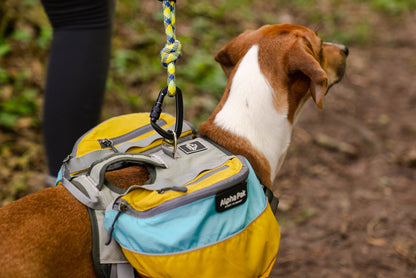 Junction 10MM Kernmantle Rope Leash