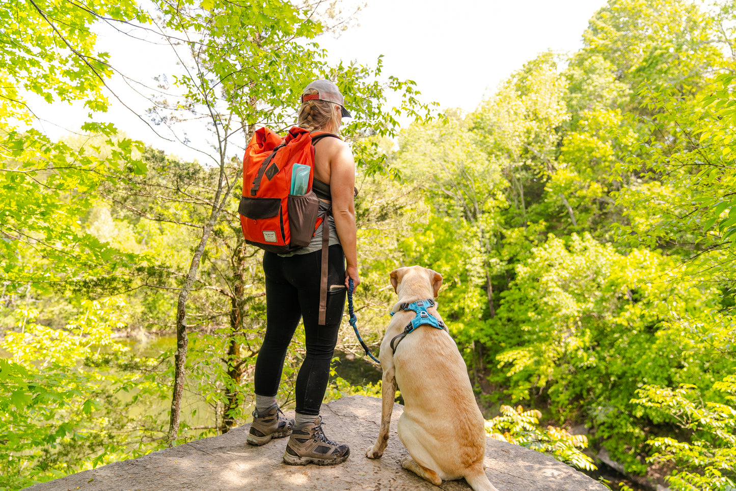 Millvue Ocean Blue EZ Fit™ Dog Harness