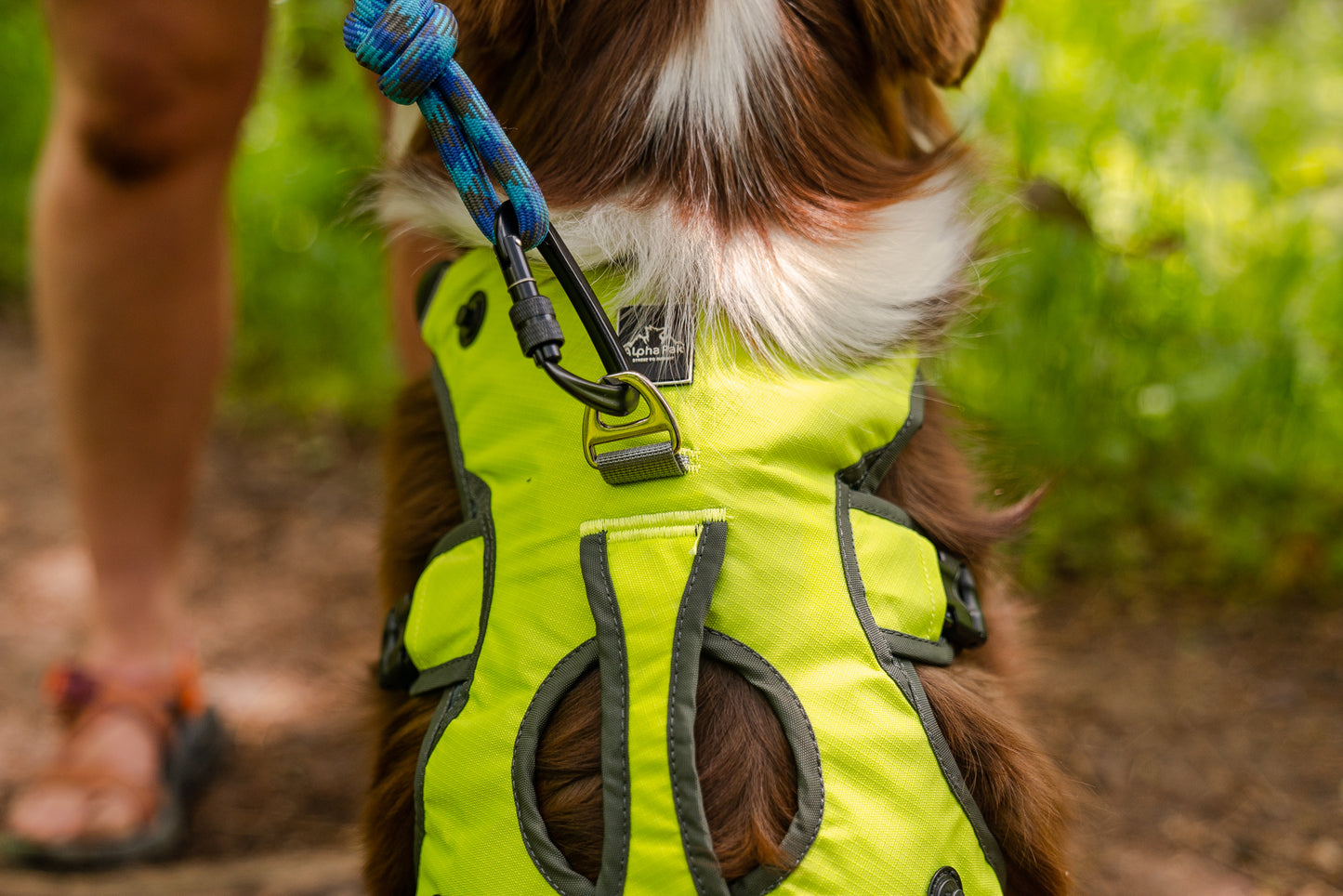 Wanderer EZ Latch™ Dog Pack (2-piece)