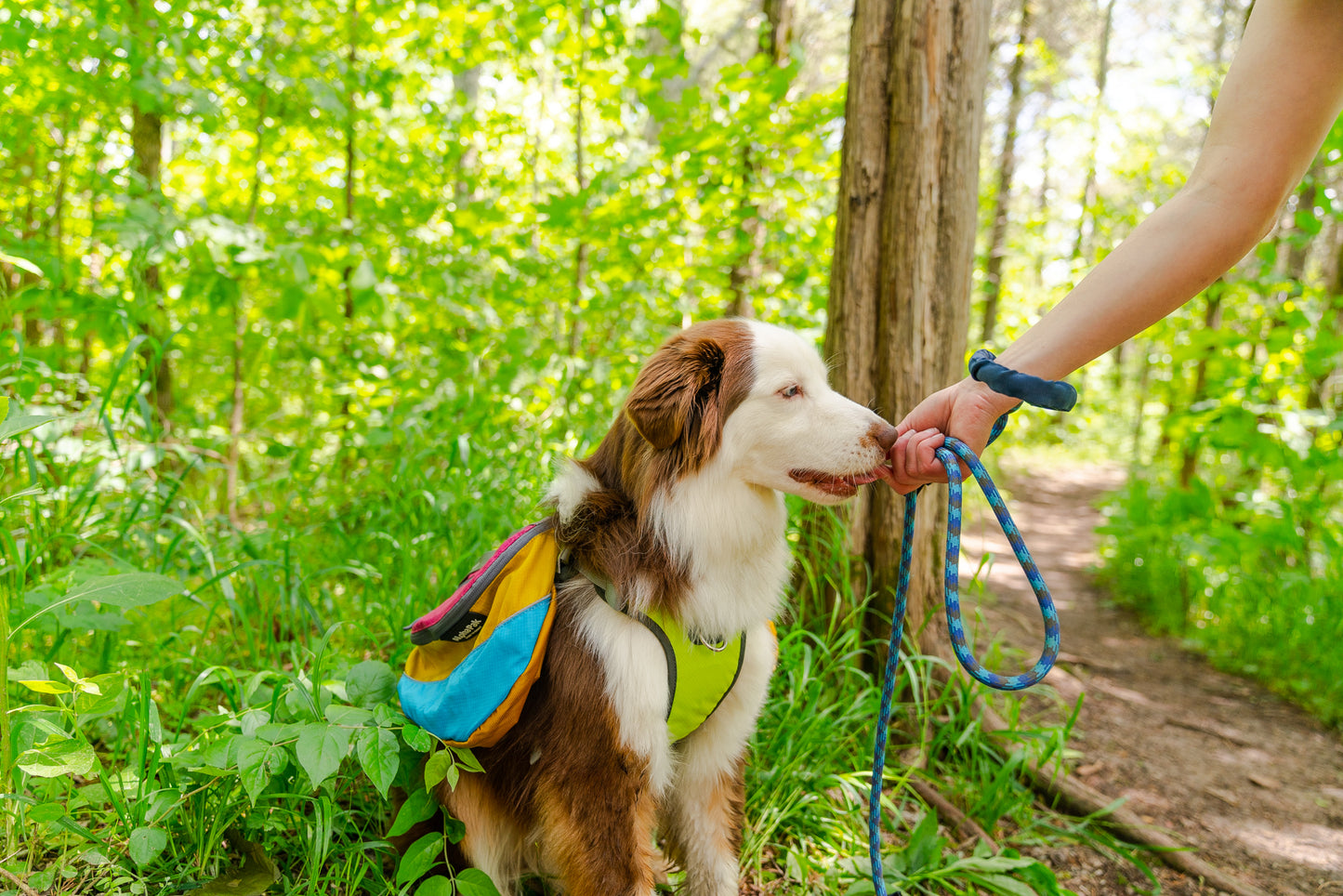 Massif 10MM Kernmantle Rope Leash