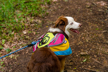 Adventurer 2-piece Dog Pack With EZ Latch™  Harness - RETRO - Wholesale