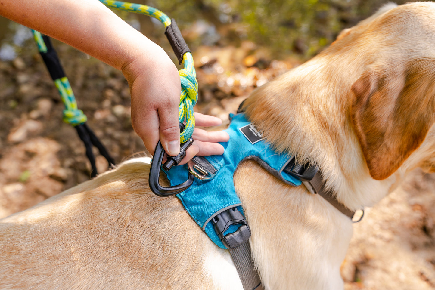 Alpine 10MM Kernmantle Rope Leash