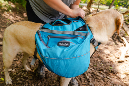 Pathfinder EZ Latch™ Dog Pack (2-piece) - Wholesale